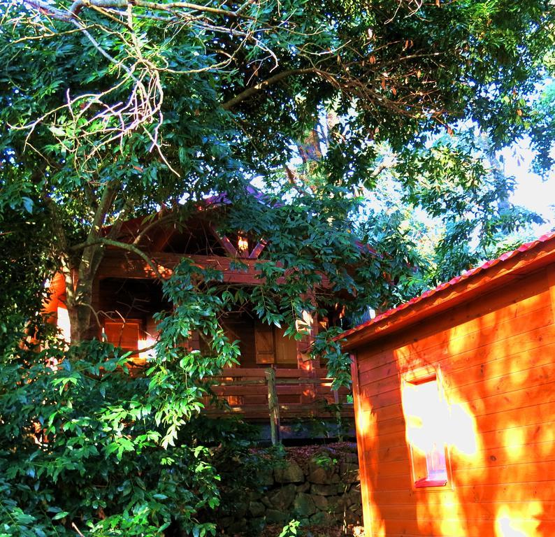 Complejo Rural Huerta Grande ξενώνας Αλγεθίρας Εξωτερικό φωτογραφία