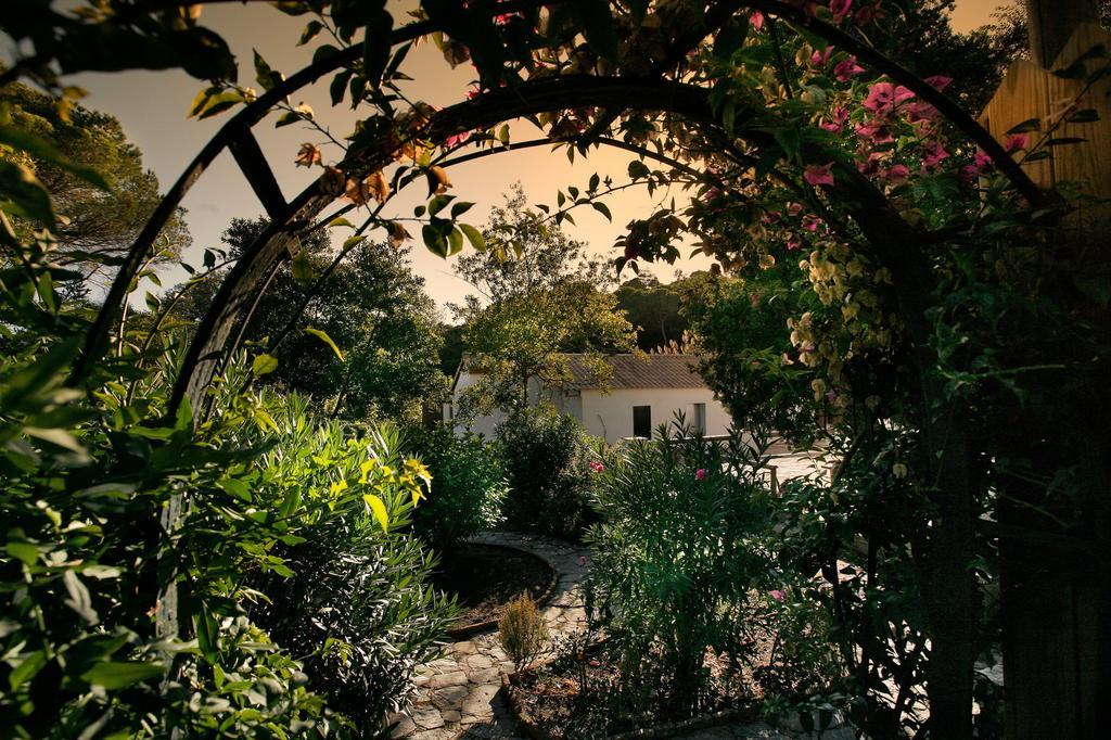 Complejo Rural Huerta Grande ξενώνας Αλγεθίρας Εξωτερικό φωτογραφία