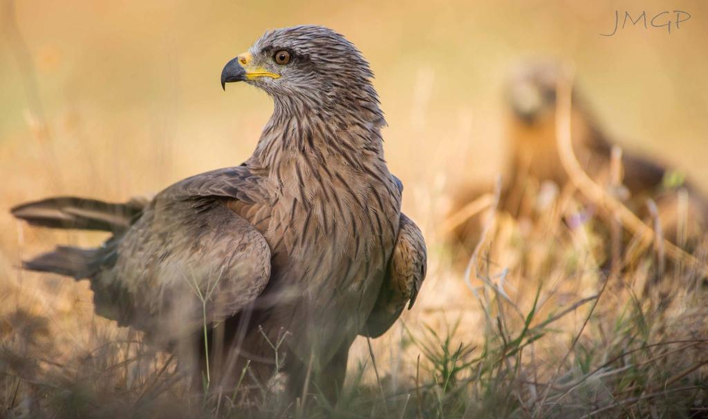 Complejo Rural Huerta Grande ξενώνας Αλγεθίρας Εξωτερικό φωτογραφία